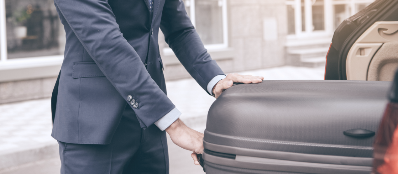 valise